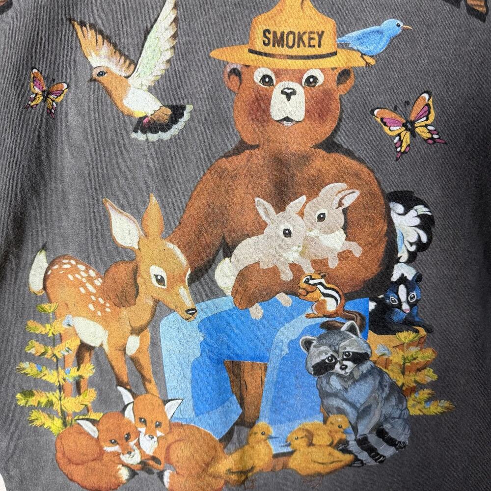 Smokey Bear Official Licensed Graphic T Shirt Men's Medium Gray 100% Cotton - Picture 4 of 9